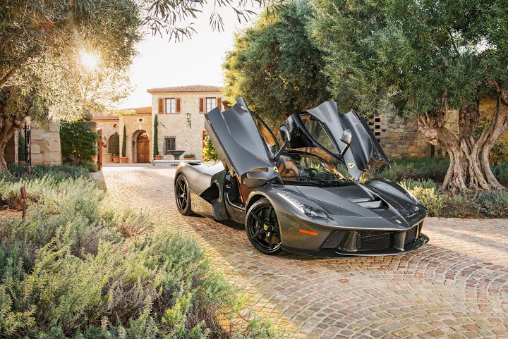 Laferrari alligator interior (26).jpg