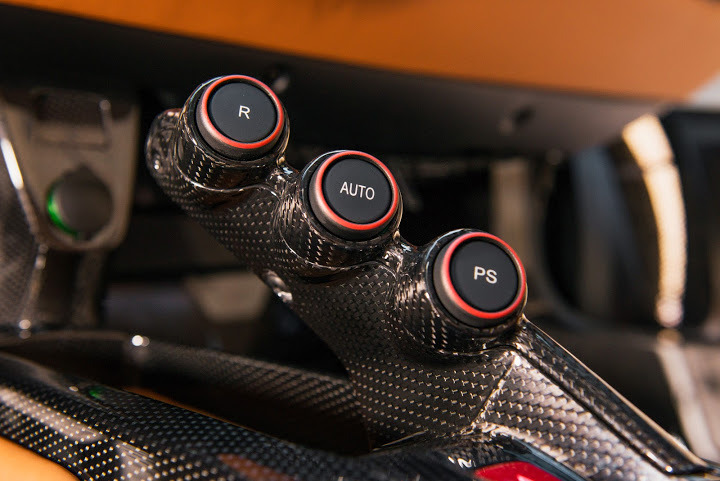 Laferrari alligator interior (8).jpg