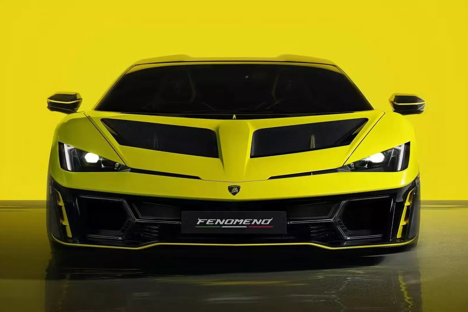 Lamborghini Fenomeno anh 2.jpeg
