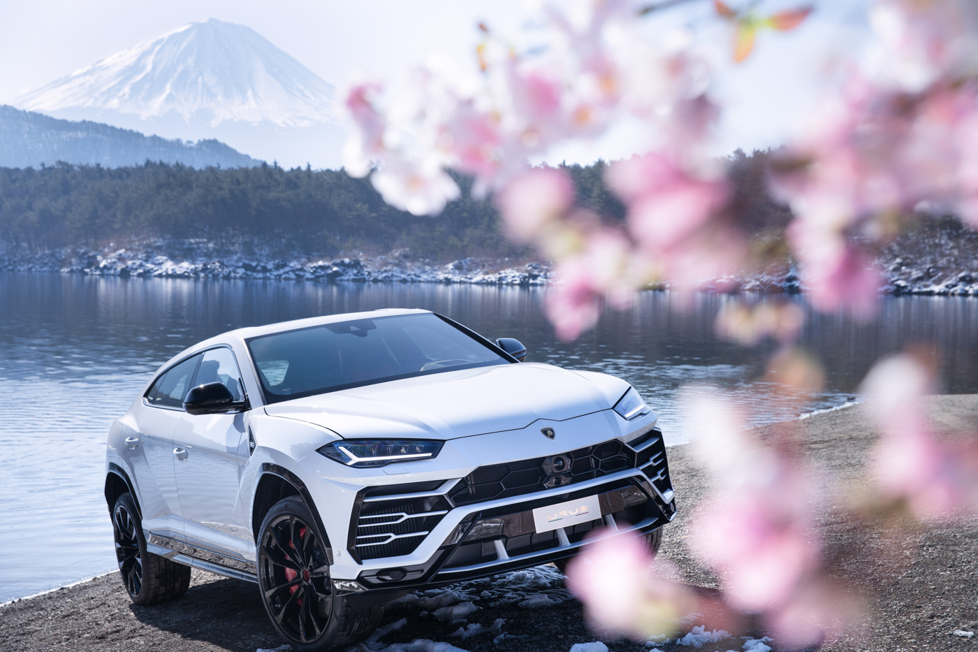 Lamborghini Urus (12).JPG