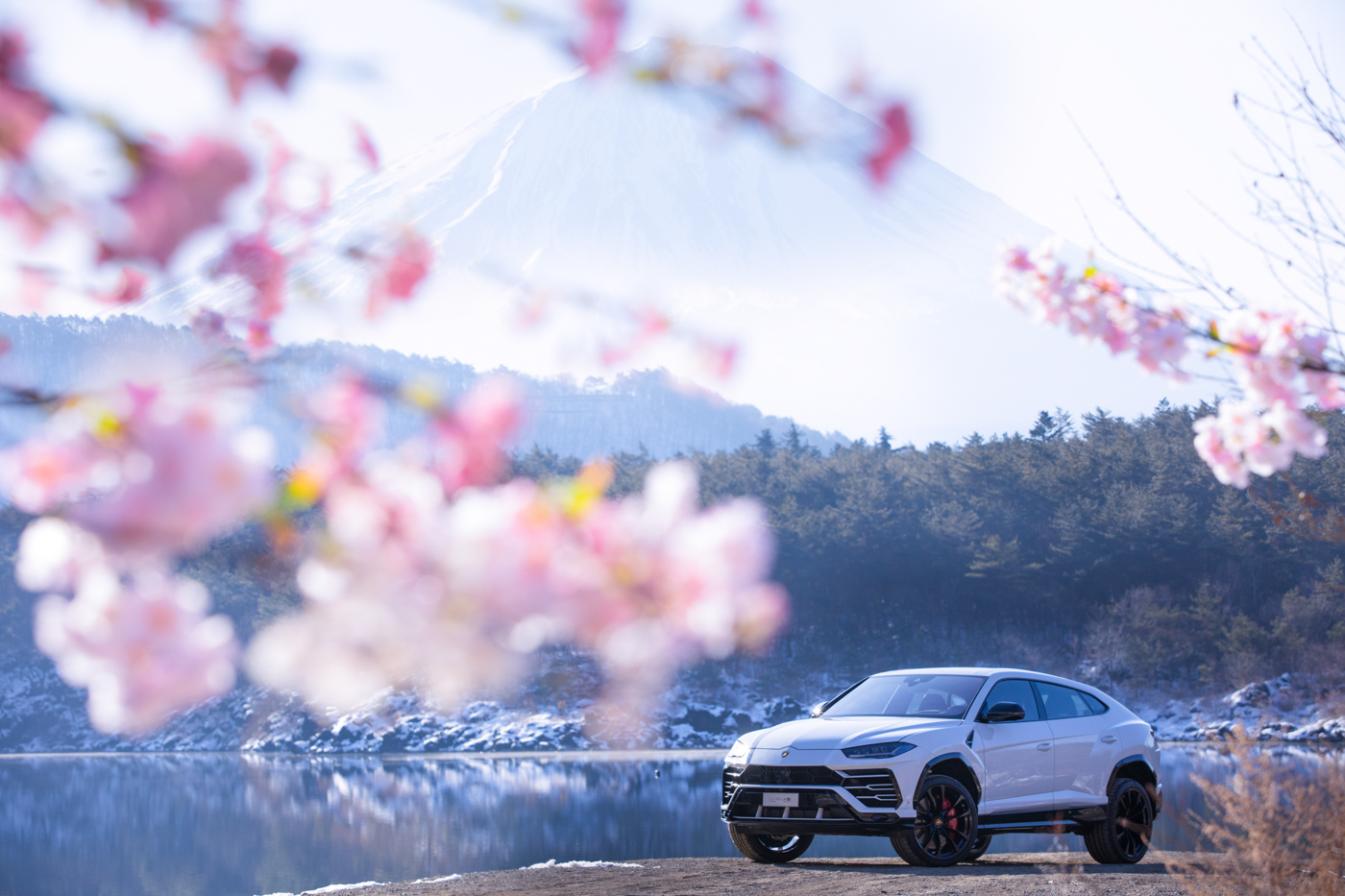 Lamborghini Urus (14).JPG