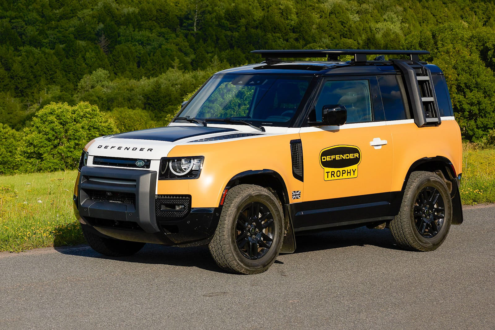 Land Rover Defender Camel Trophy (2).JPG