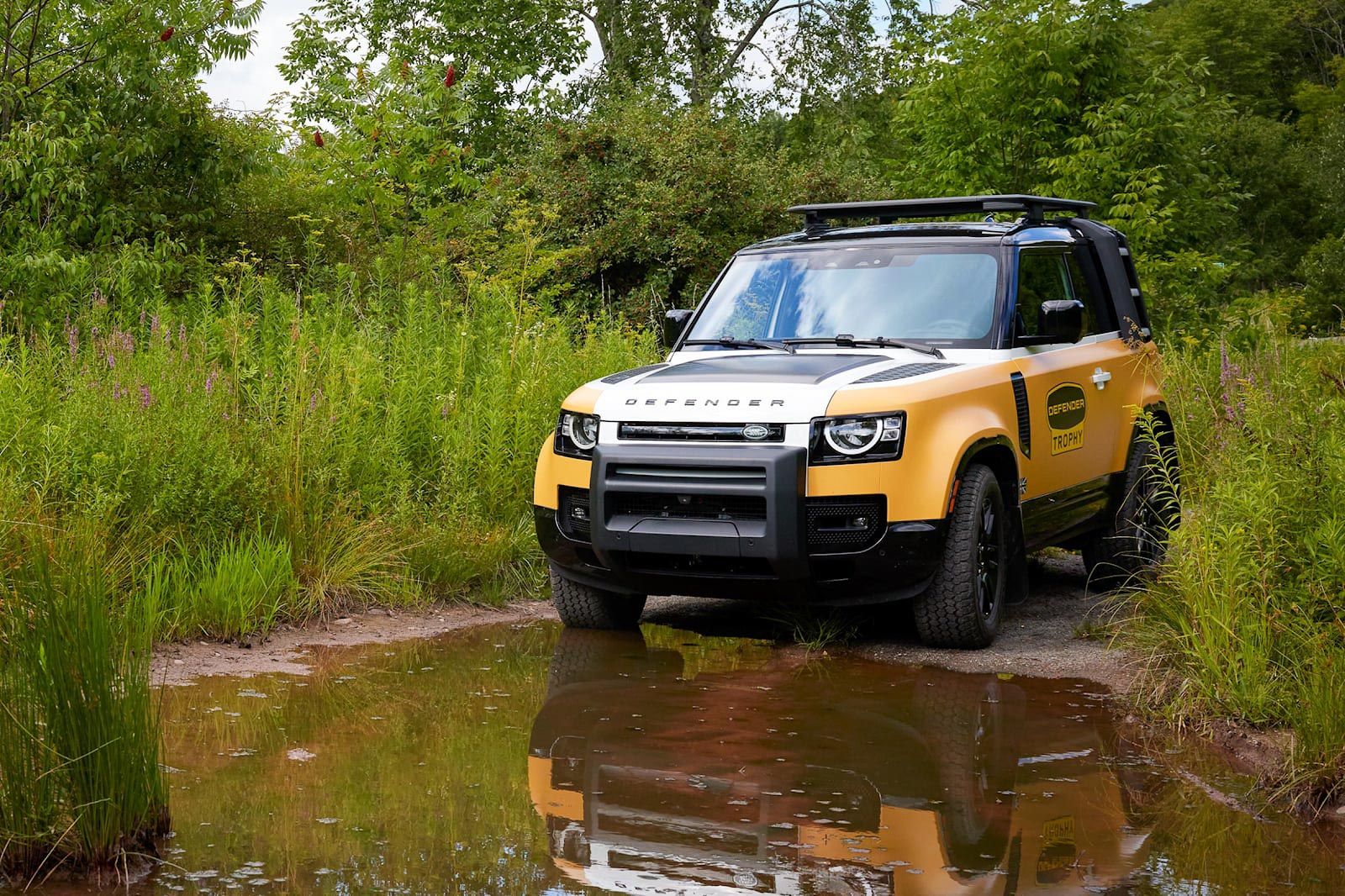 Land Rover Defender Camel Trophy (3).JPG