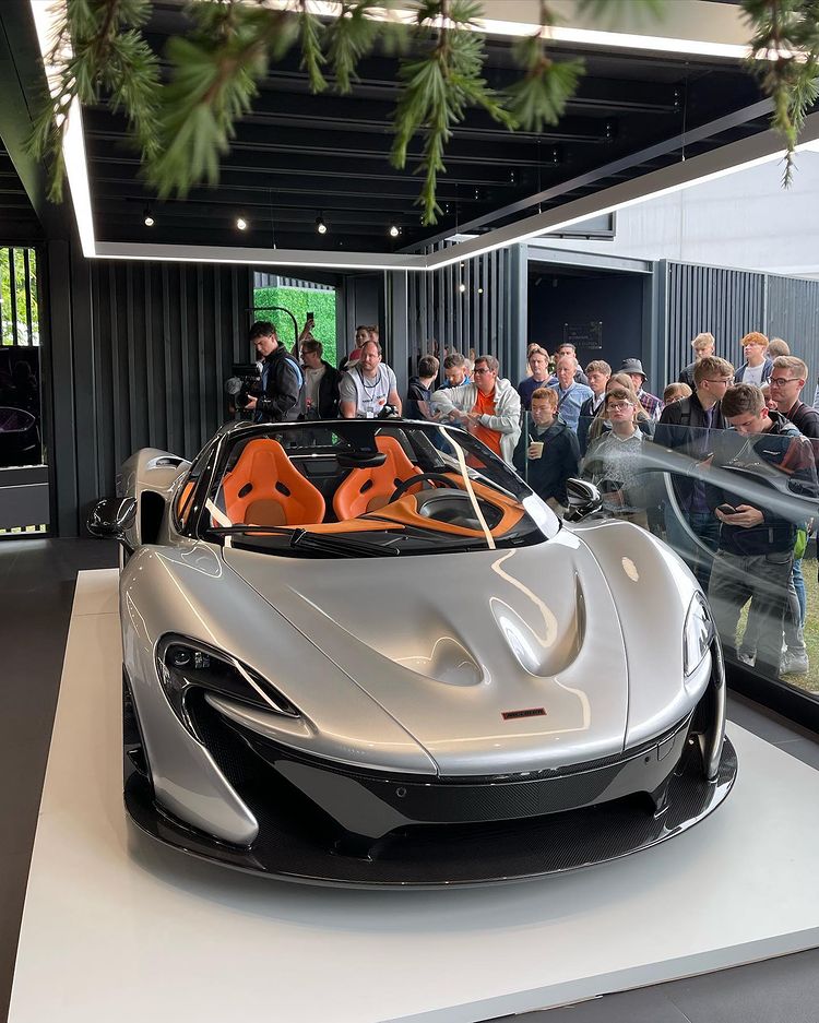 Lanzante P1 (7).jpg