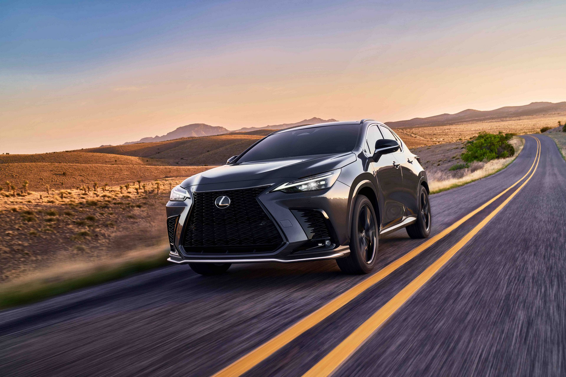 Lexus (12).JPG