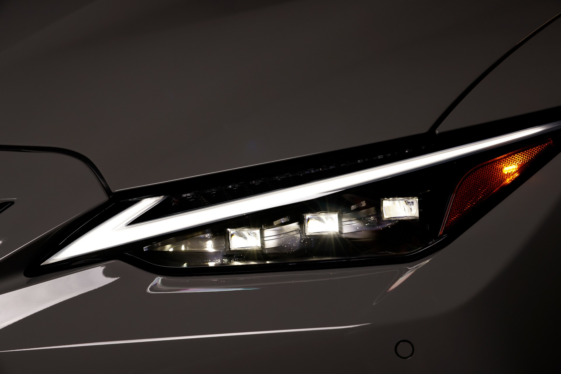 lexus (14).jpg