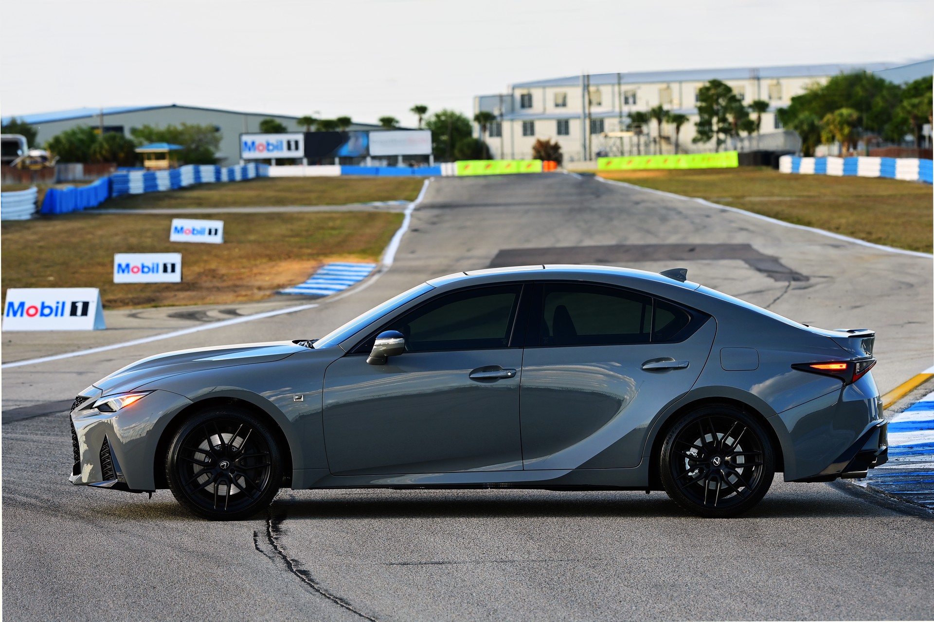 lexus (29).jpg