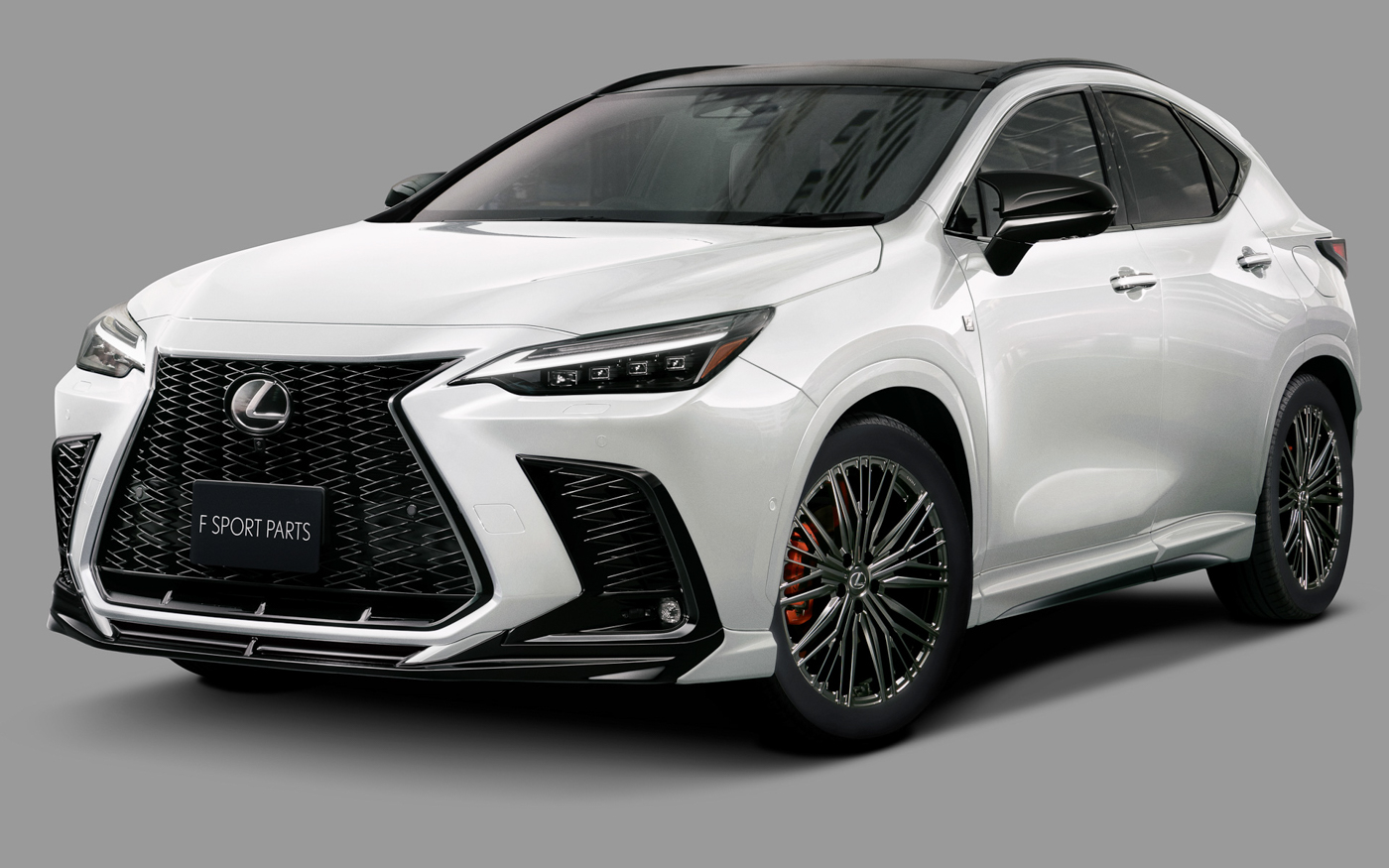 Lexus NX TRD (13).JPG