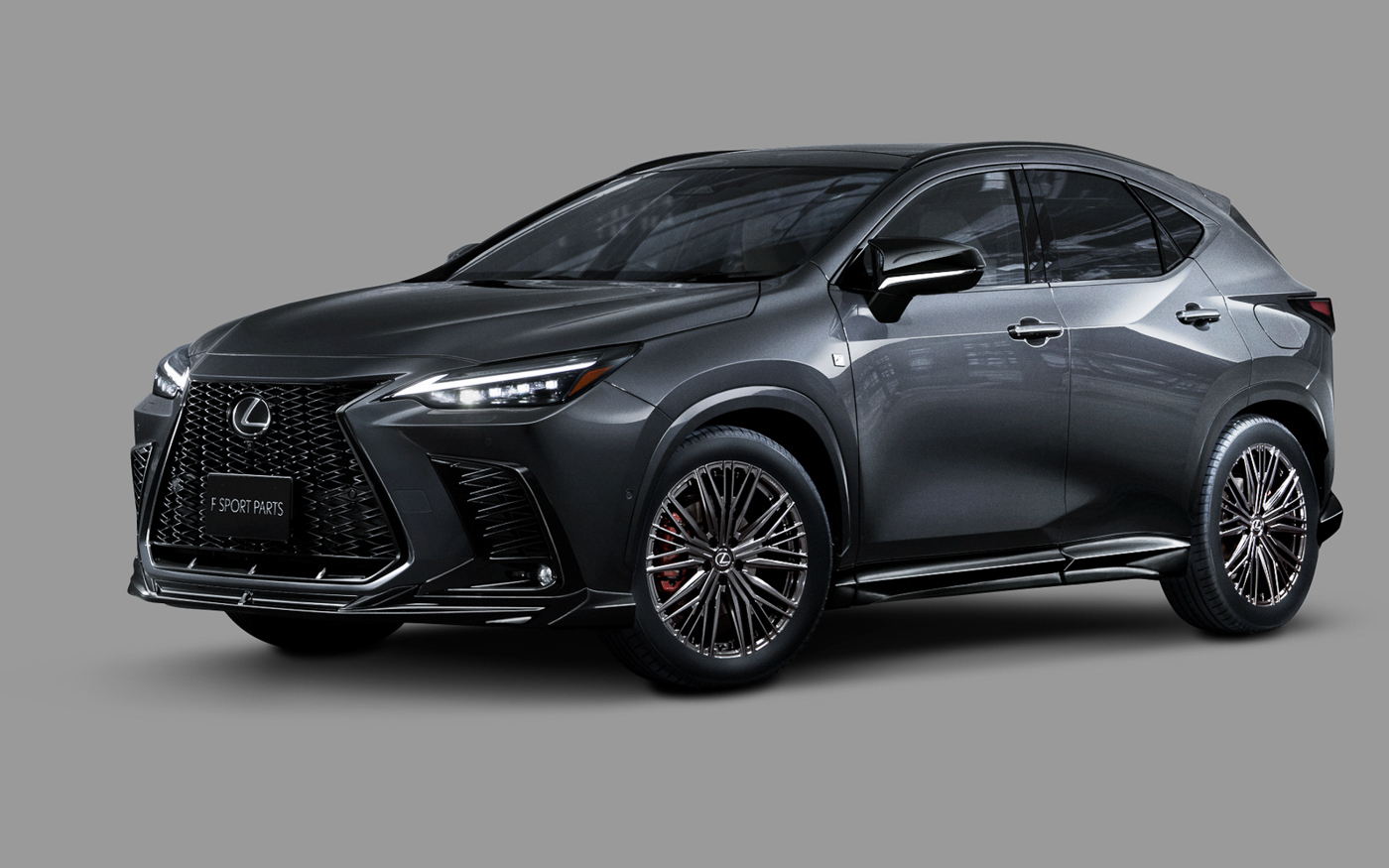 Lexus NX TRD (3).JPG