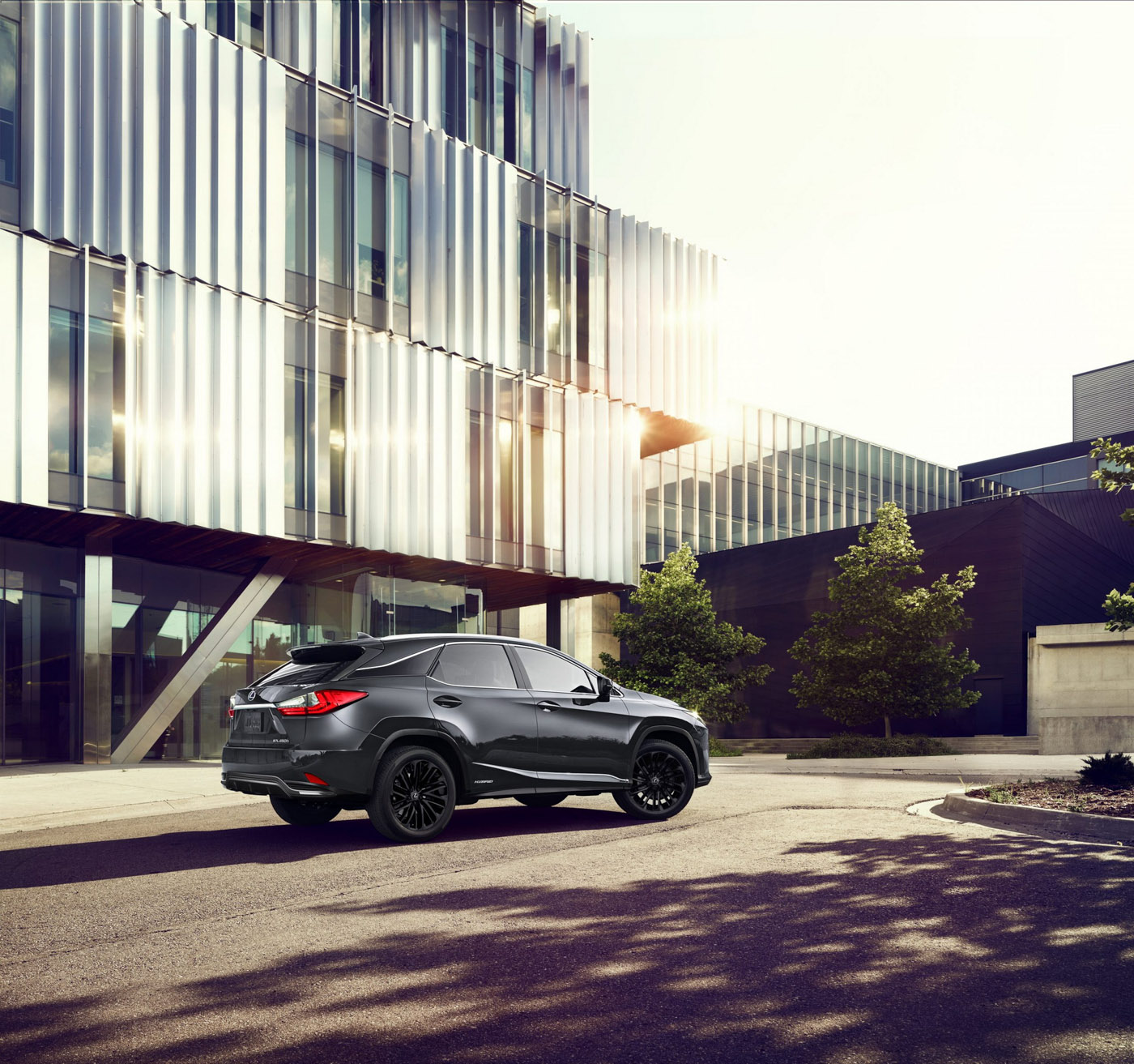 Lexus RX L Black Line (3).JPG
