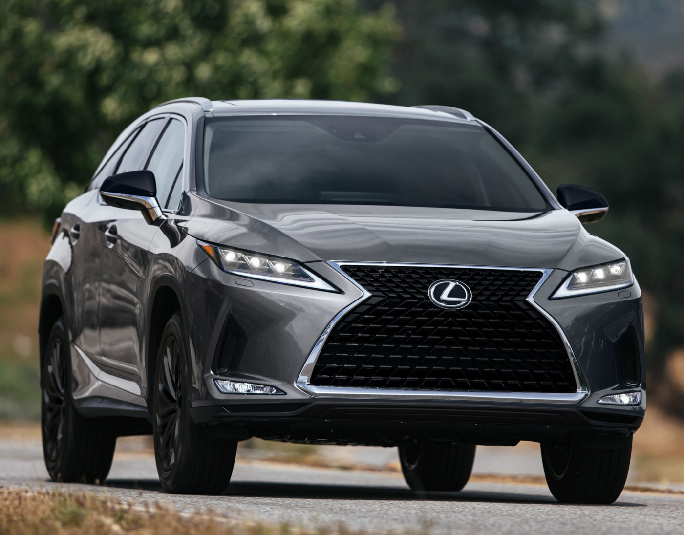 Lexus RX L Black Line (4).JPG