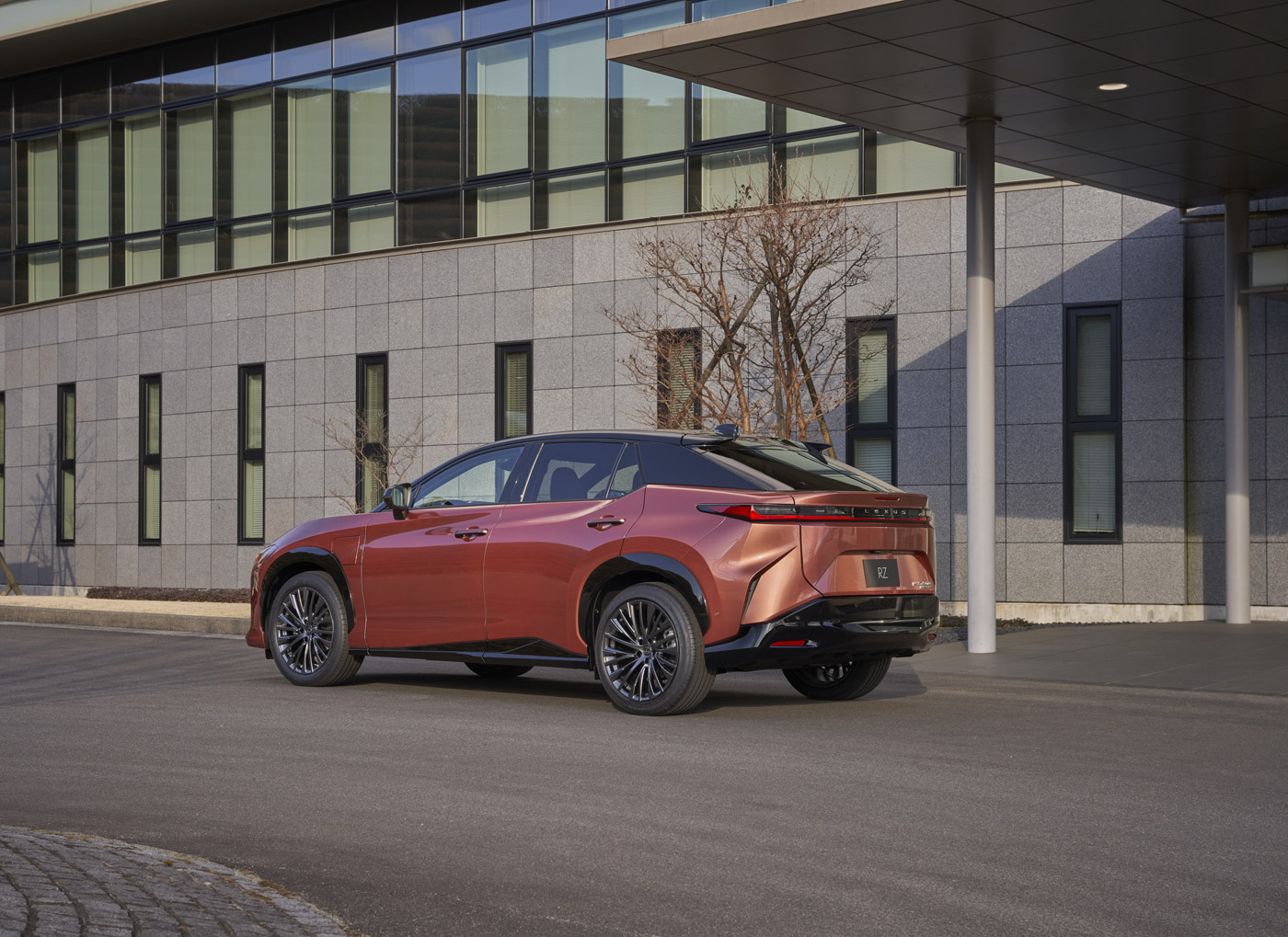 Lexus RZ450e (17)-16.JPG