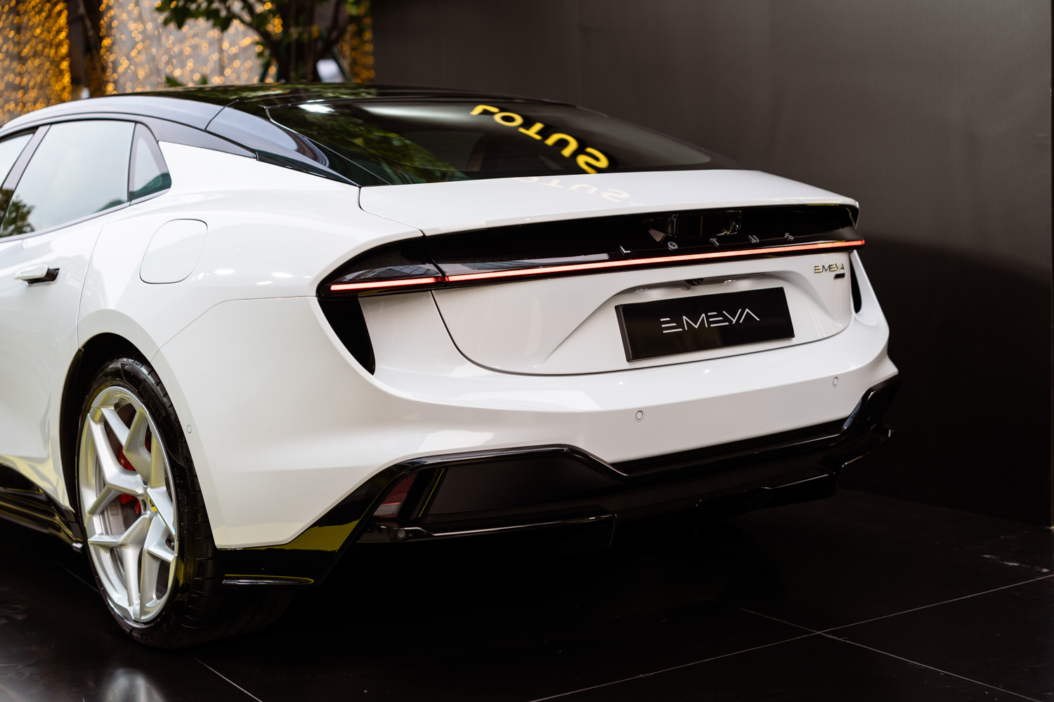 Lotus Emeya-anh-_10.jpg