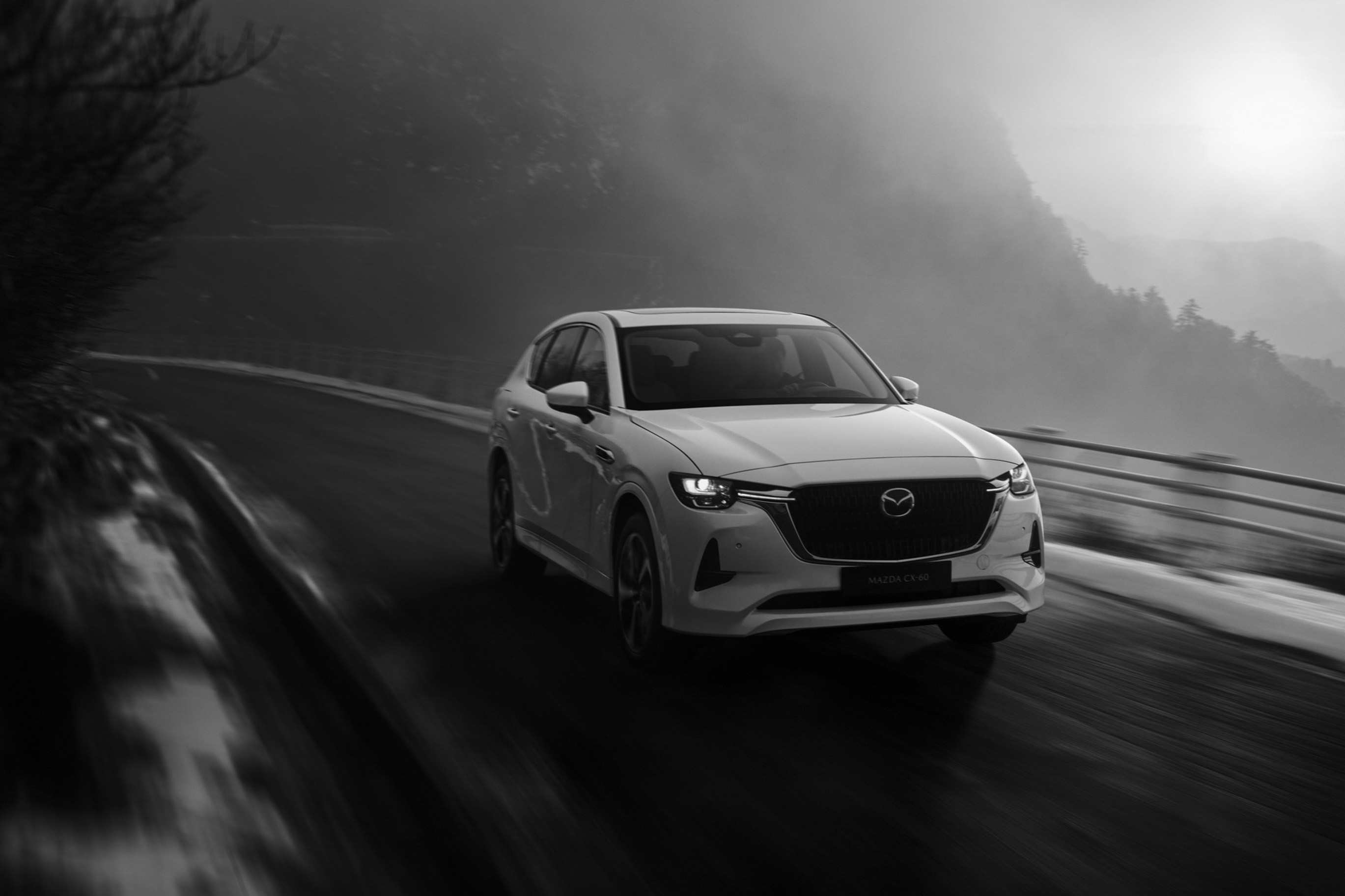 Mazda CX-60 (15).JPG