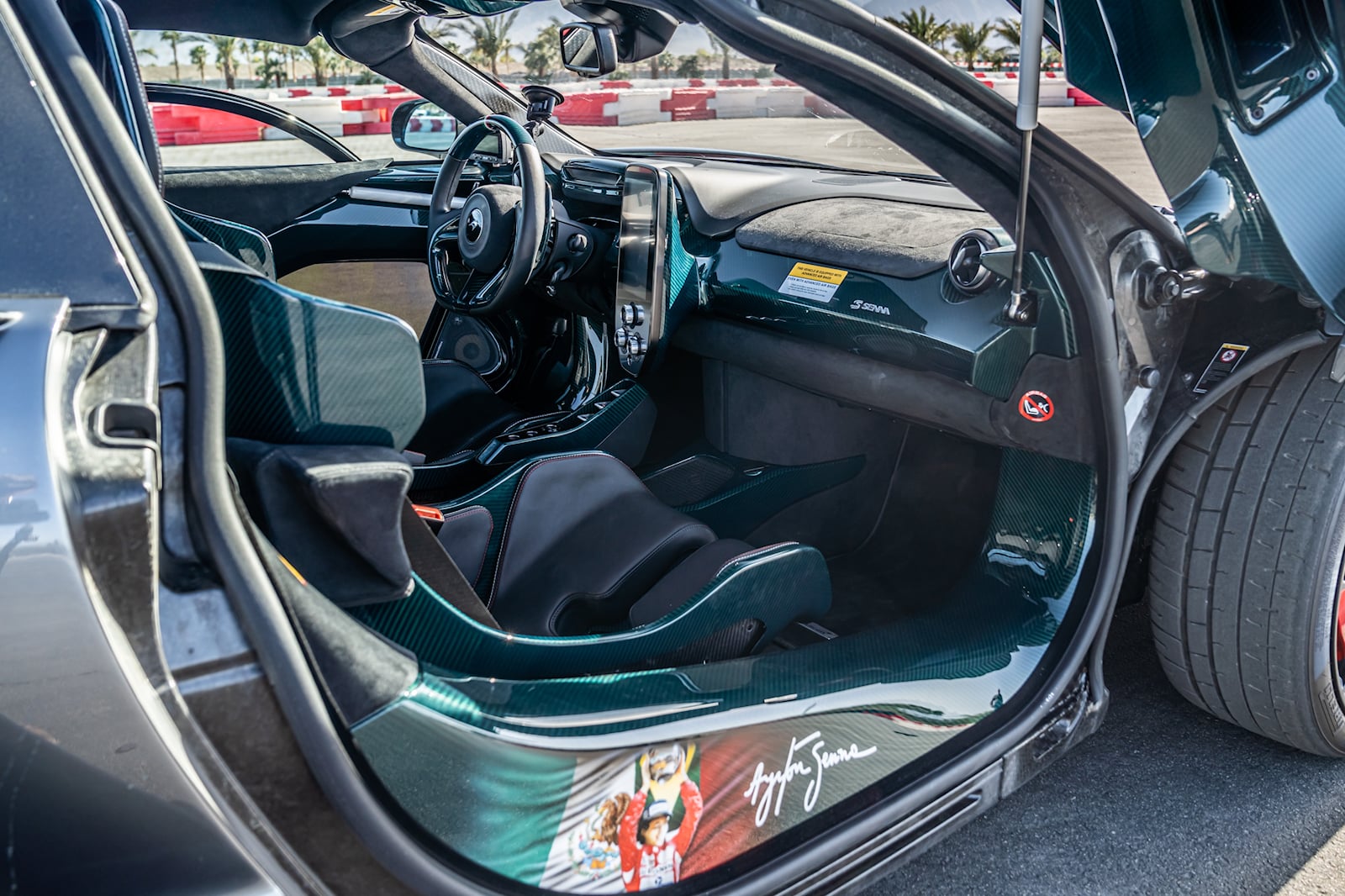 McLaren Senna (3).jpg