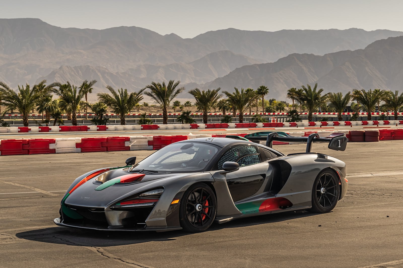 McLaren Senna (5).jpg