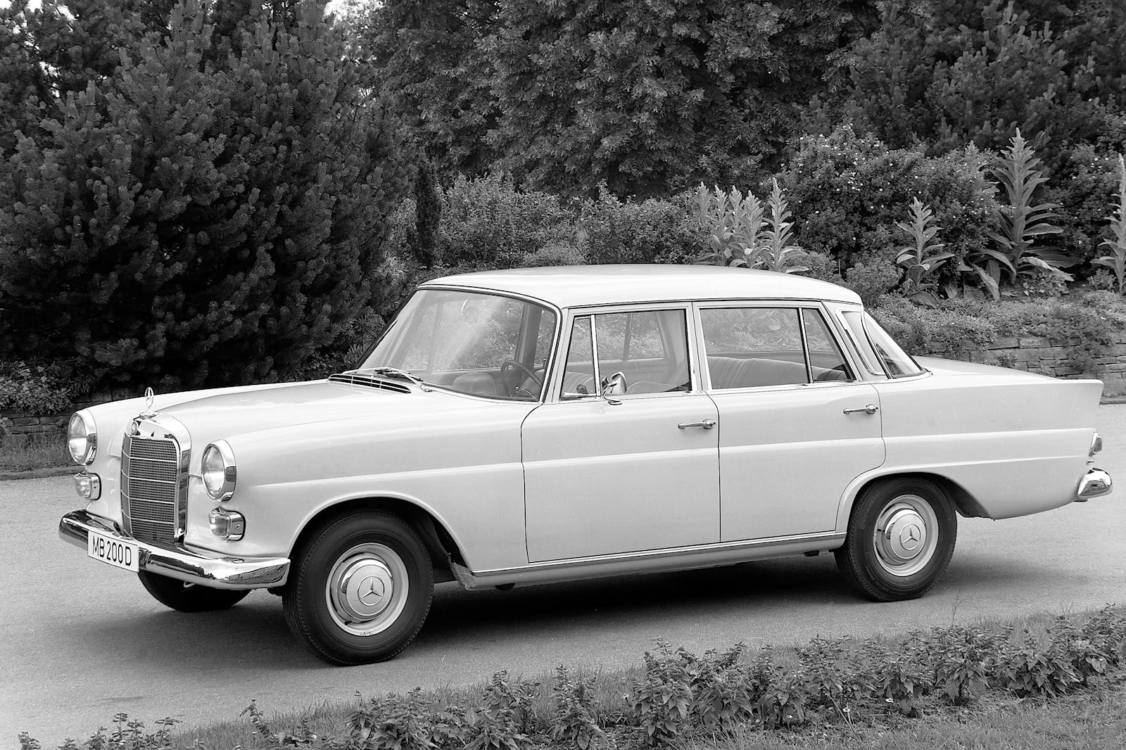 Mercedes-Benz (2).jpg