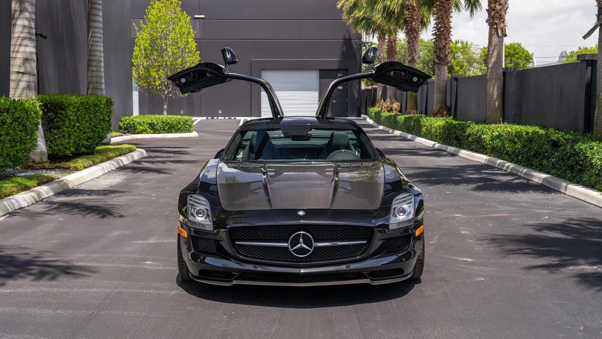 Mercedes-Benz SLS AMG GT Final Edition 2015-anh-15.jpg