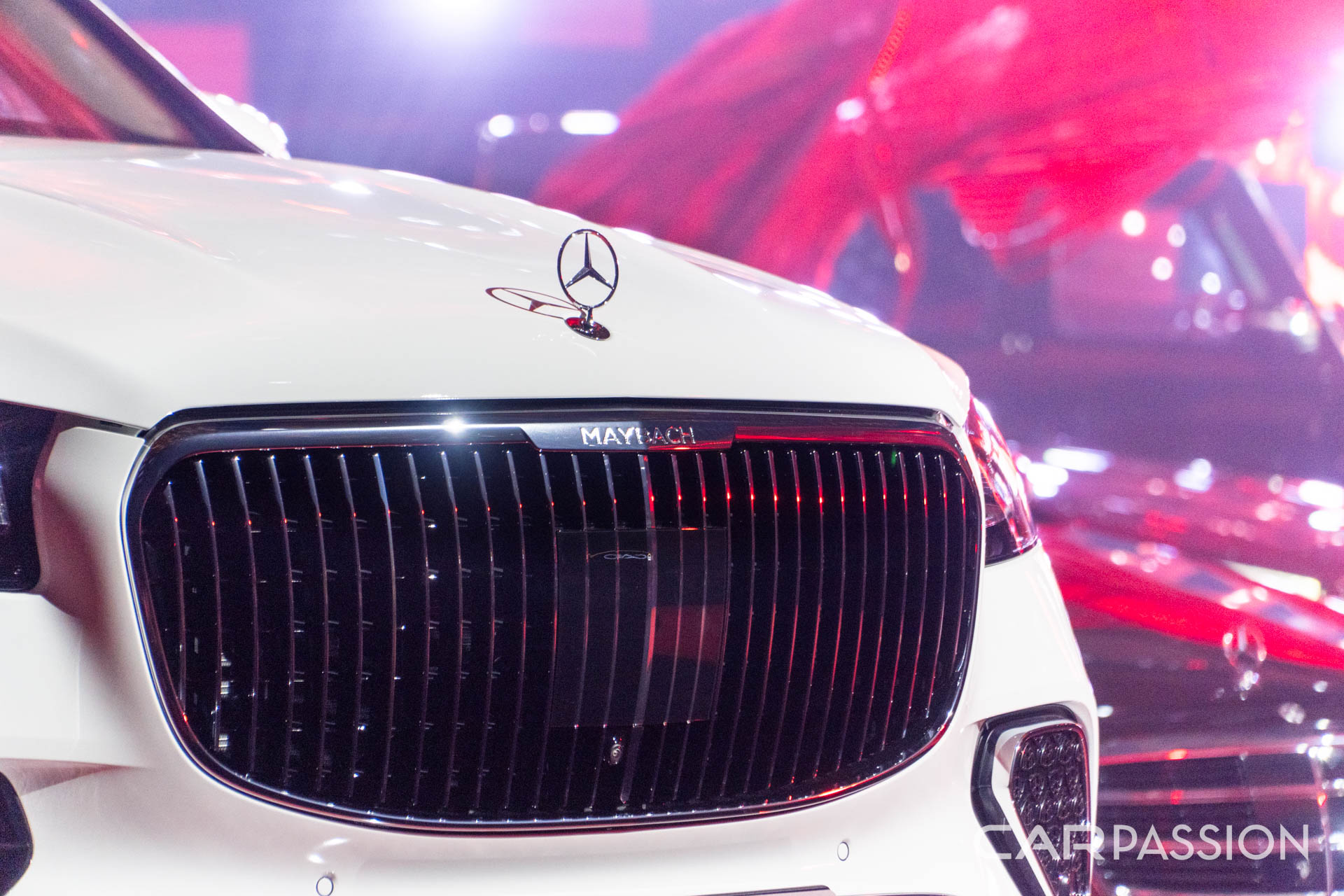 mercedes-liverate-anh--14.jpg