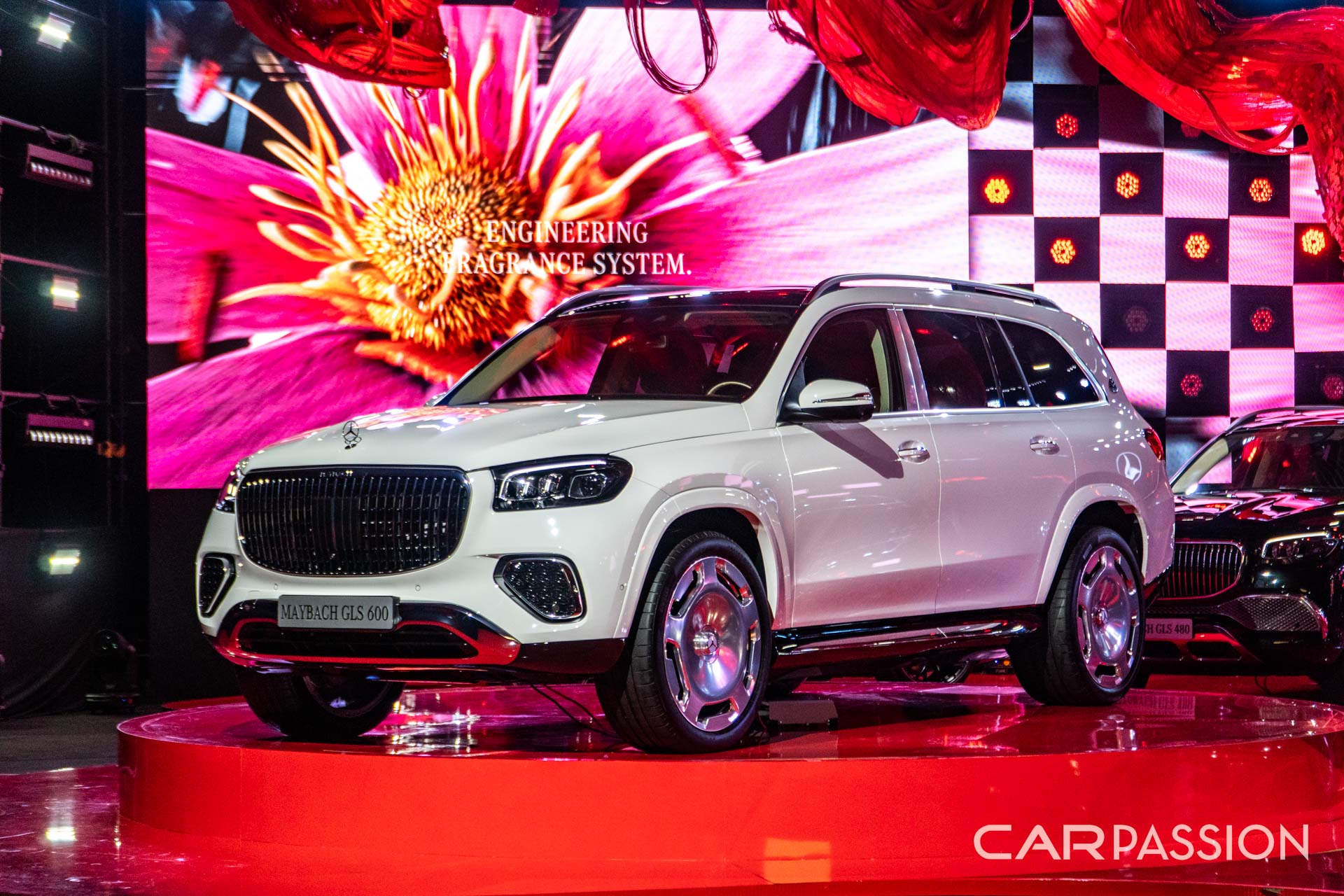 mercedes-liverate-anh--81.jpg