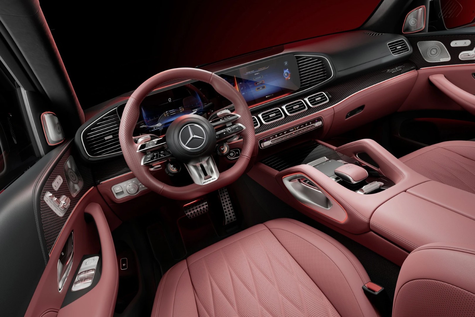 Mercedes_AMG_GLS_Arctic_Silver_Edition_5 (Large).jpeg