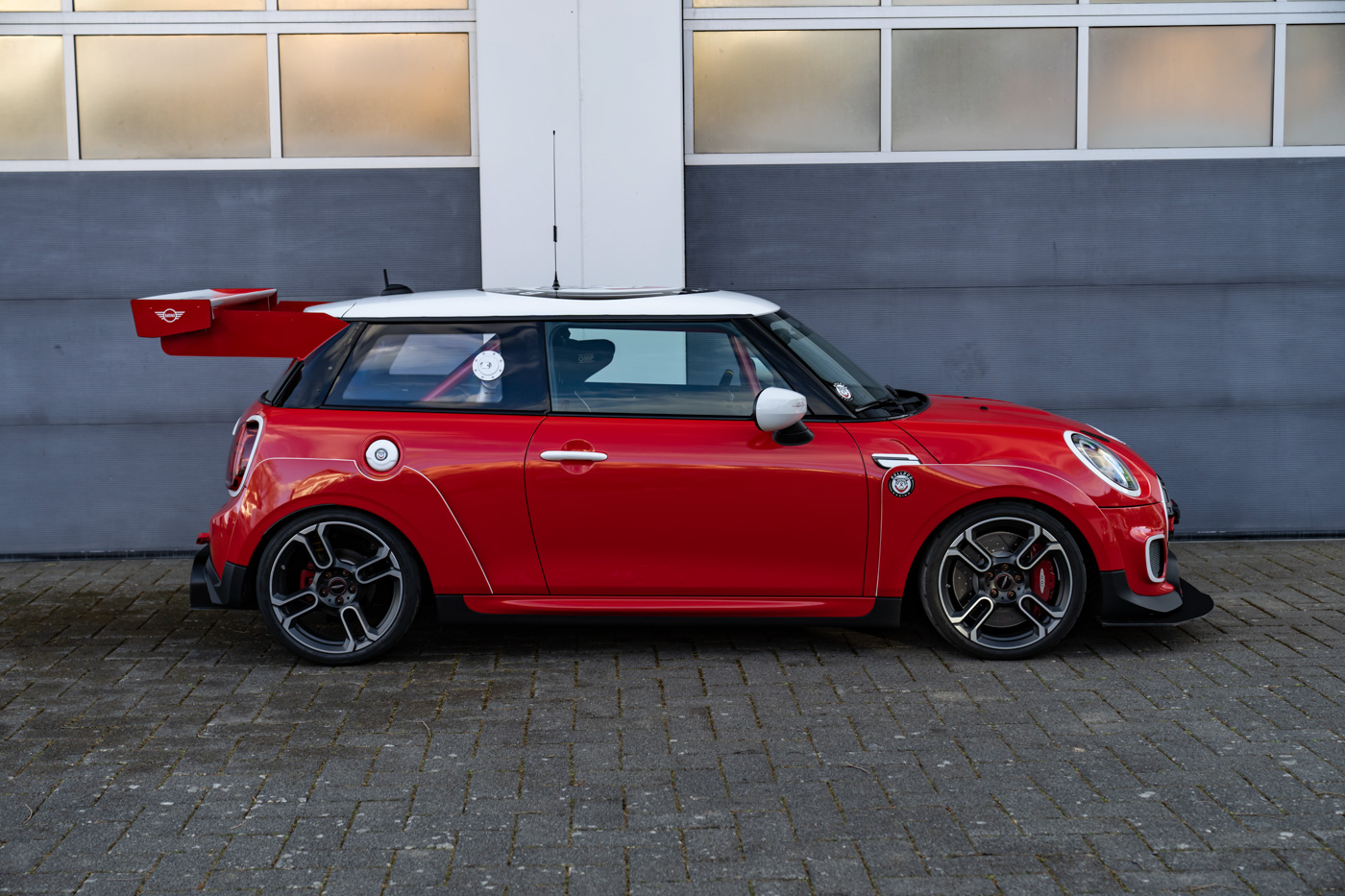 MINI (1)-14.JPG