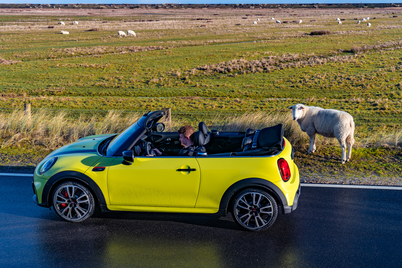 MINI (16).JPG