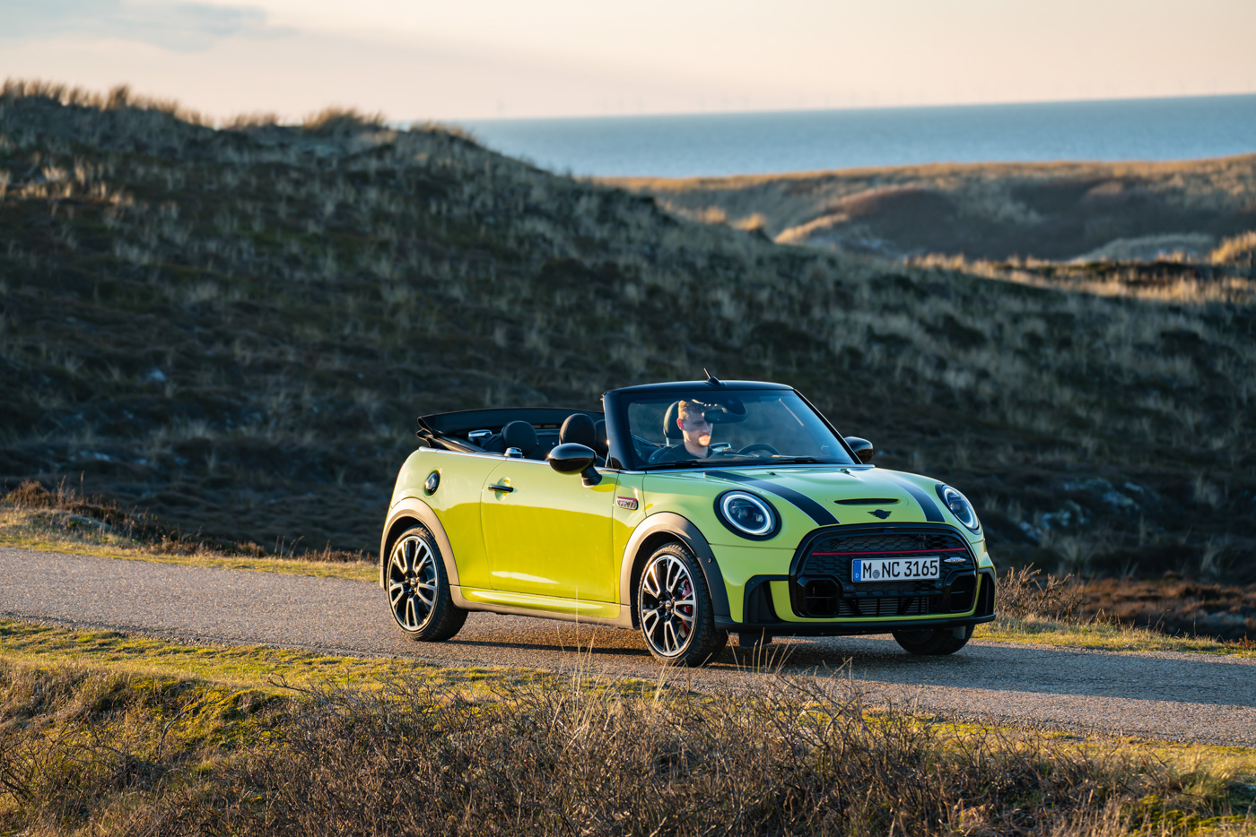 MINI (20).JPG