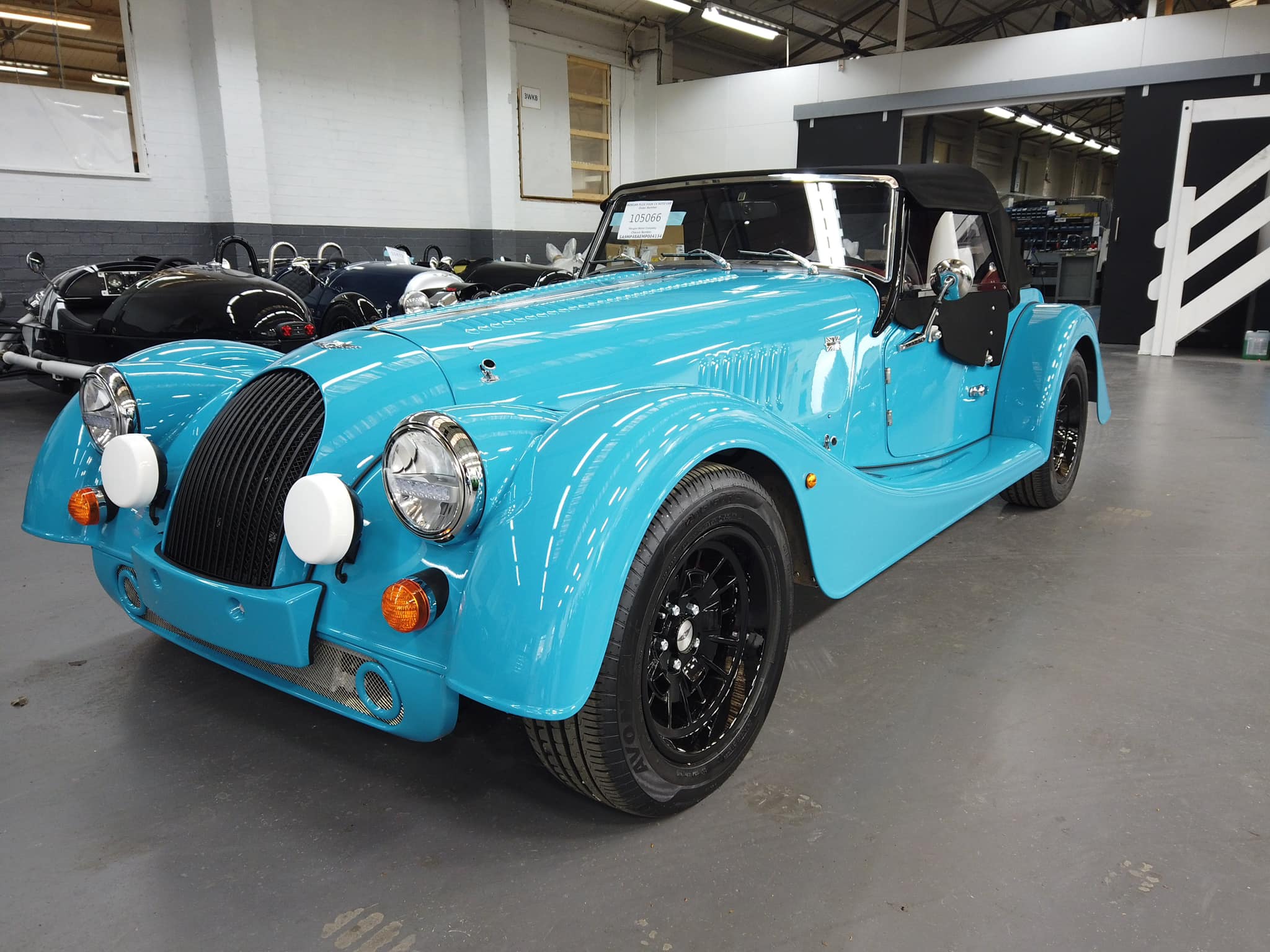 Morgan (5).jpg