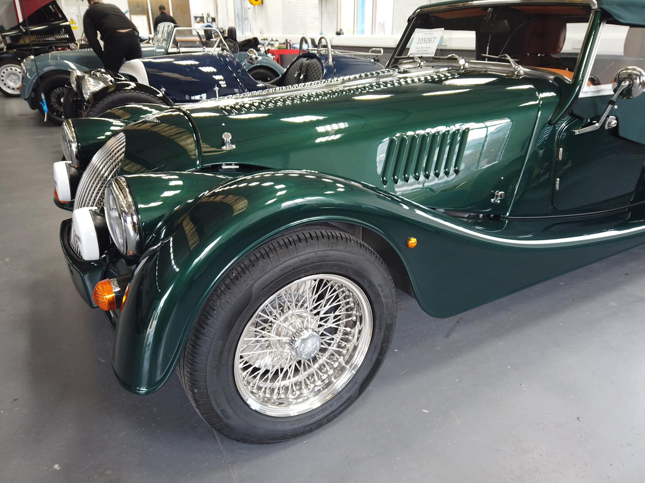 Morgan (6).jpg
