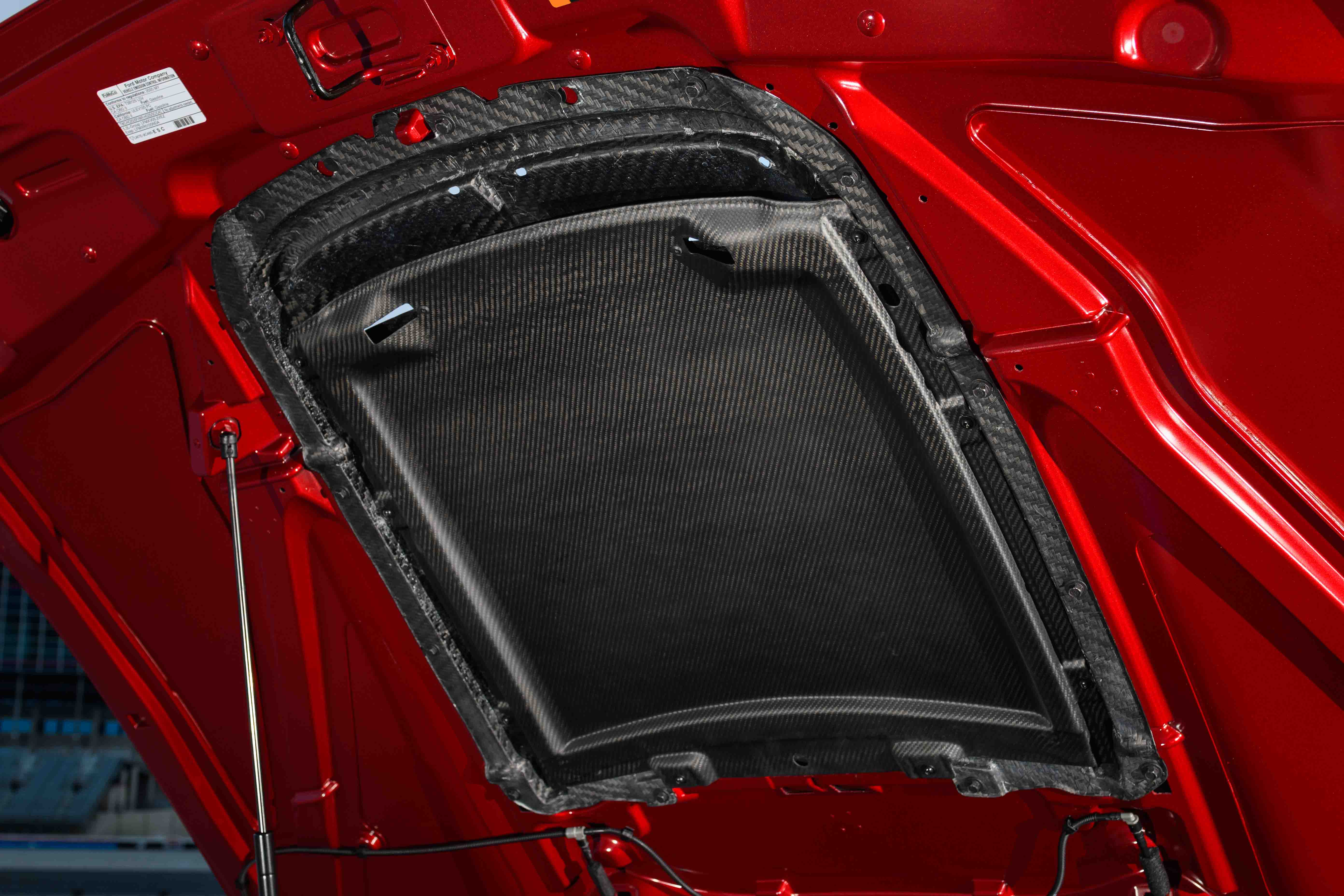 Mustang_GT_500_Carbon_Fiber_Rain_Tray_01.jpg