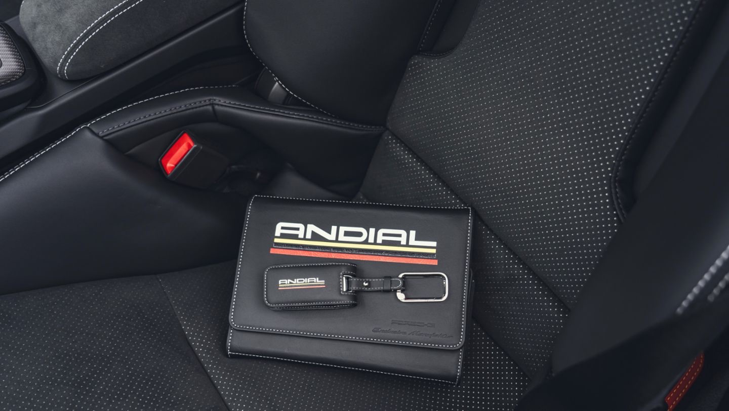 Porsche_911_GT3_Andial_anh_10.jpeg