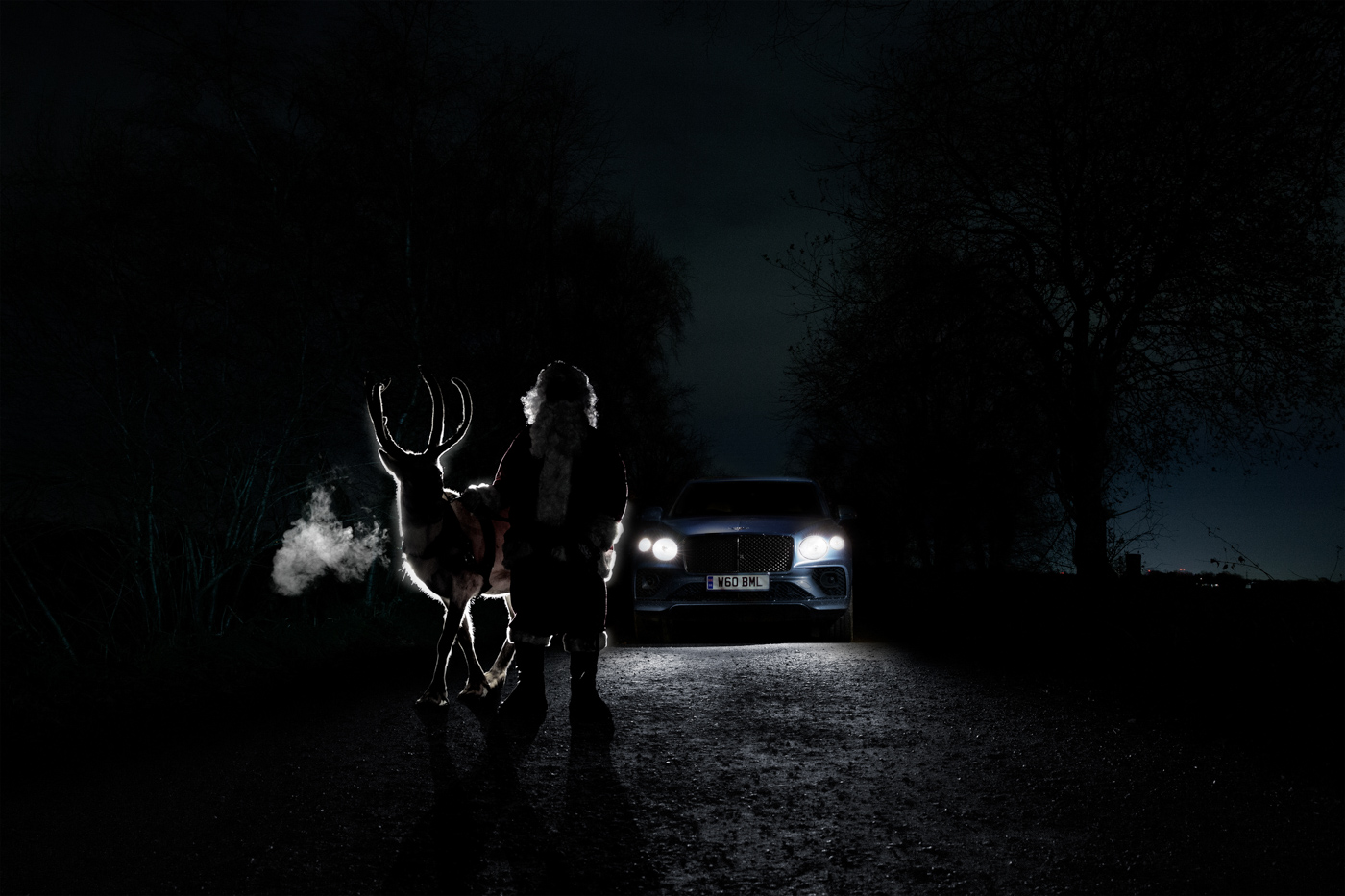 Rudolph (2).JPG