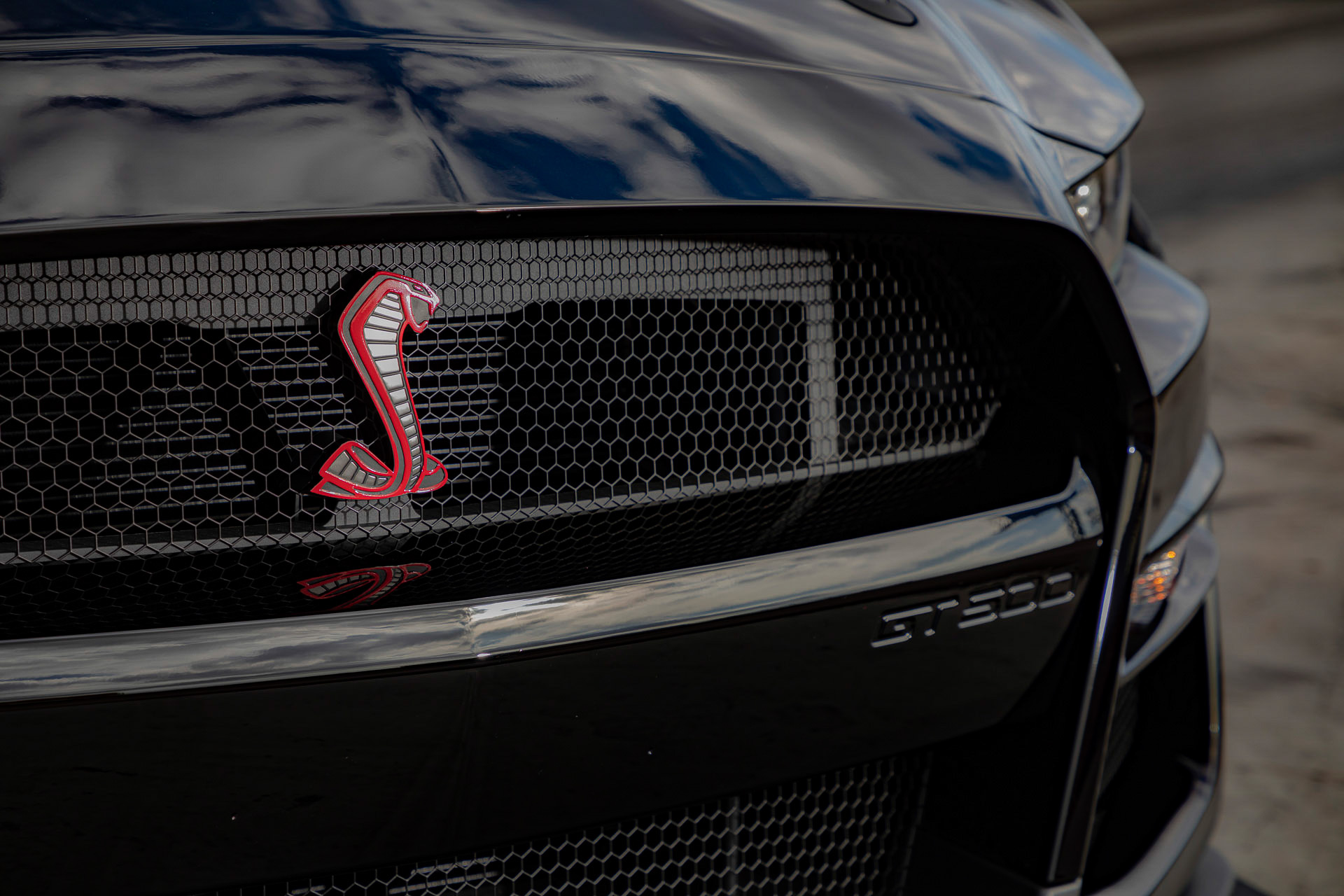 Shelby GT500 Code Red (10).JPG