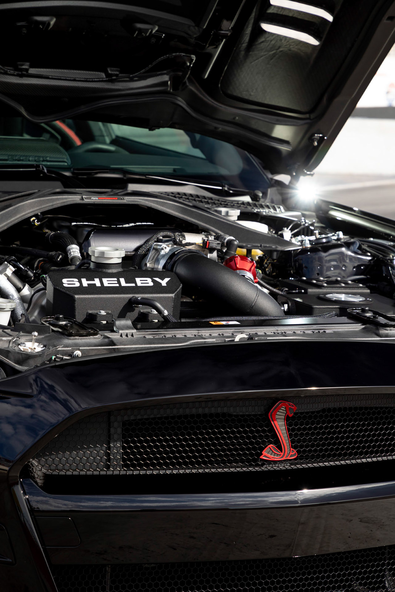 Shelby GT500 Code Red (14).JPG