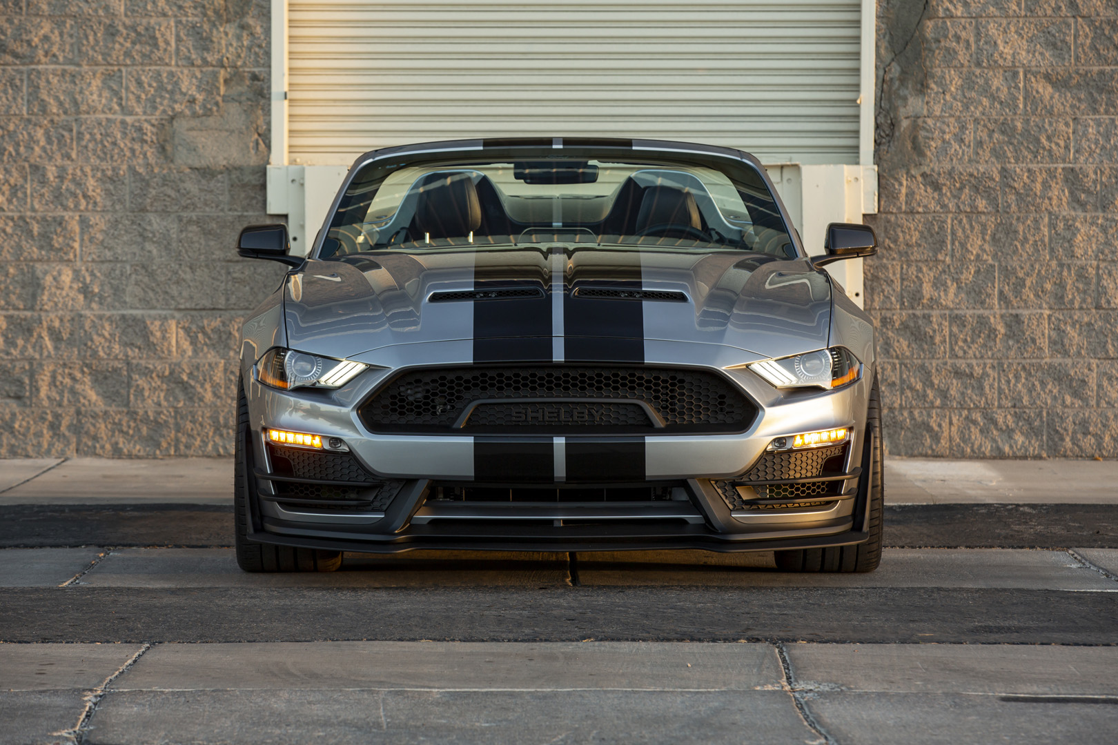 Shelby-Super-Snake-Speedster-22.jpg