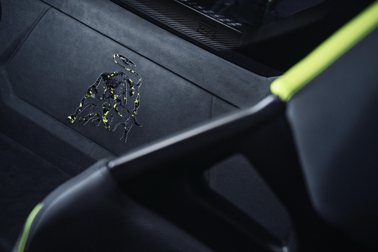 SPECIAL TEMERARIO-anh-8.jpeg