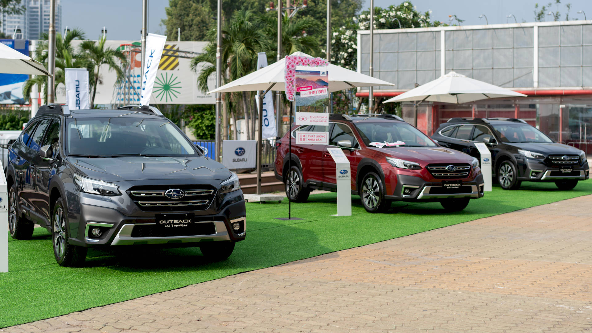 subaru-outback-2023-ramat-01.jpg