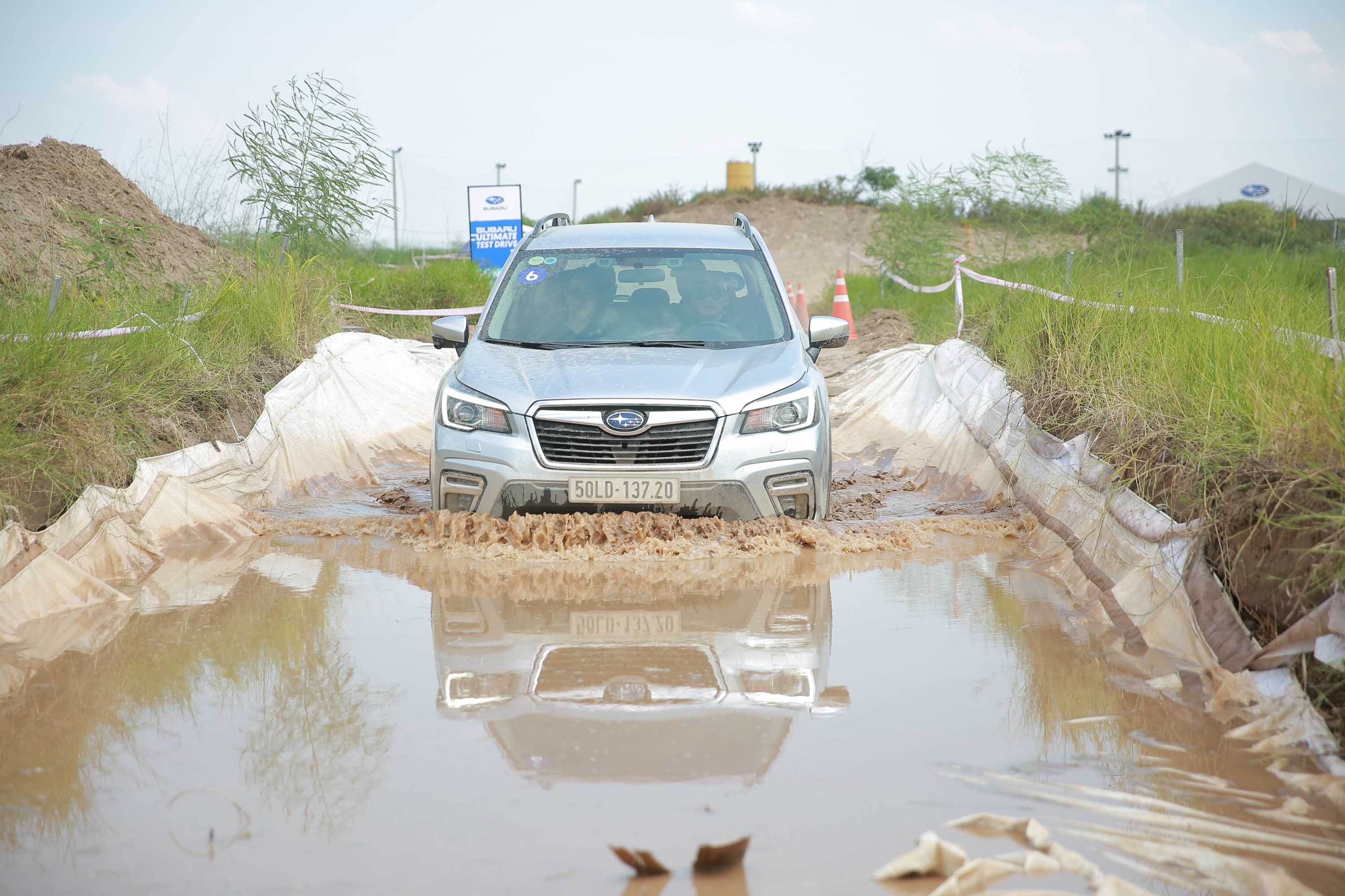 subaru-uu-dai-chao-nam-moi-anh-_4.JPG