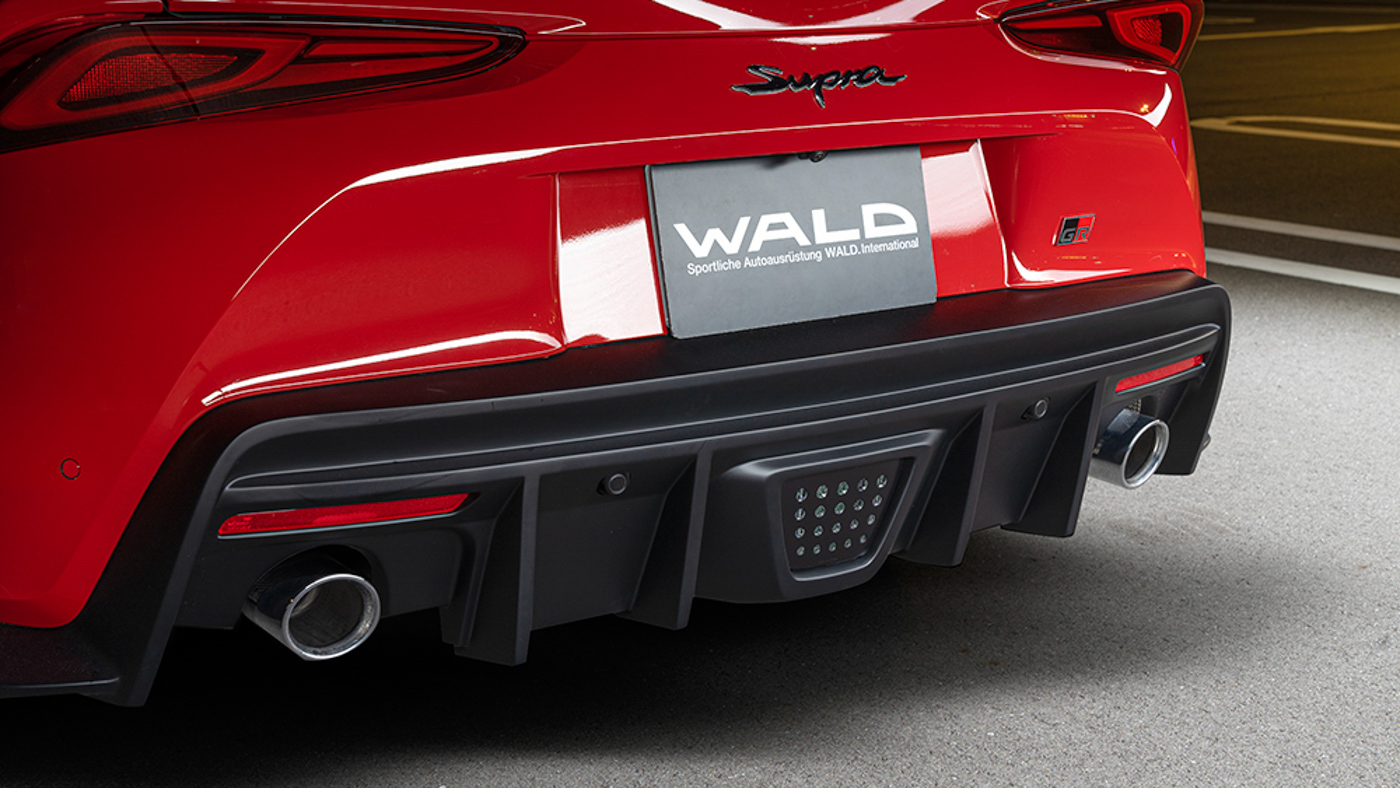 Supra Wald (1).JPG