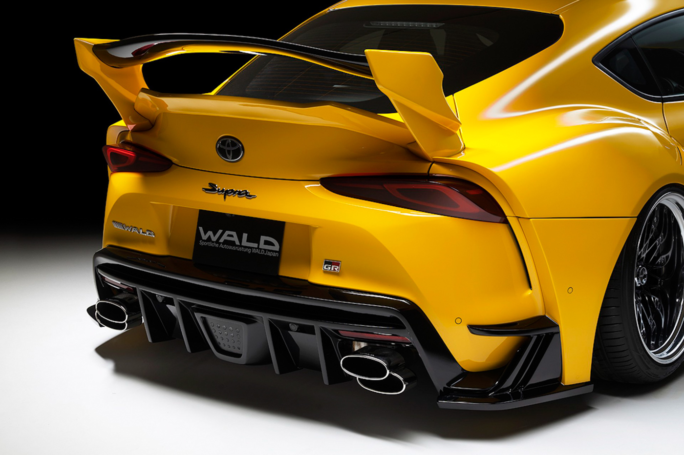Supra Wald (12).JPG