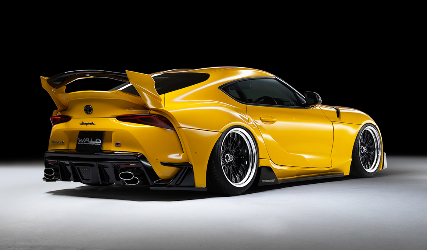 Supra Wald (14).JPG