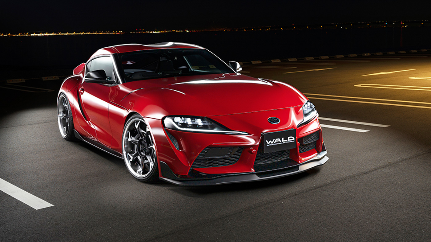 Supra Wald (19).JPG