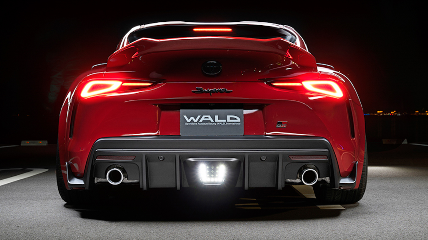 Supra Wald (3).JPG