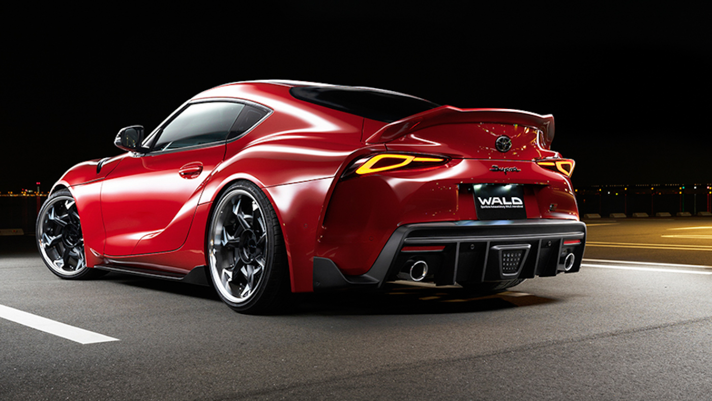 Supra Wald (4).JPG