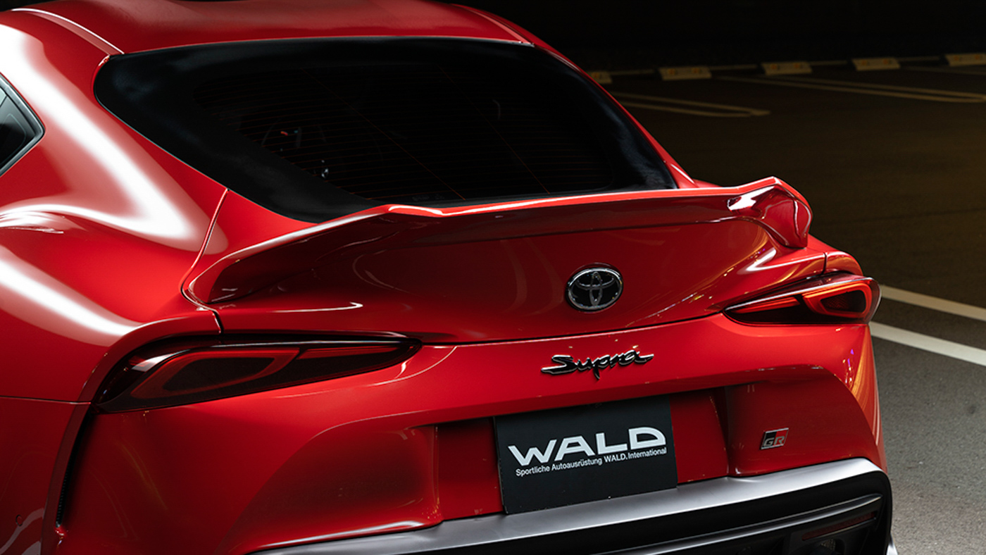 Supra Wald (5).JPG
