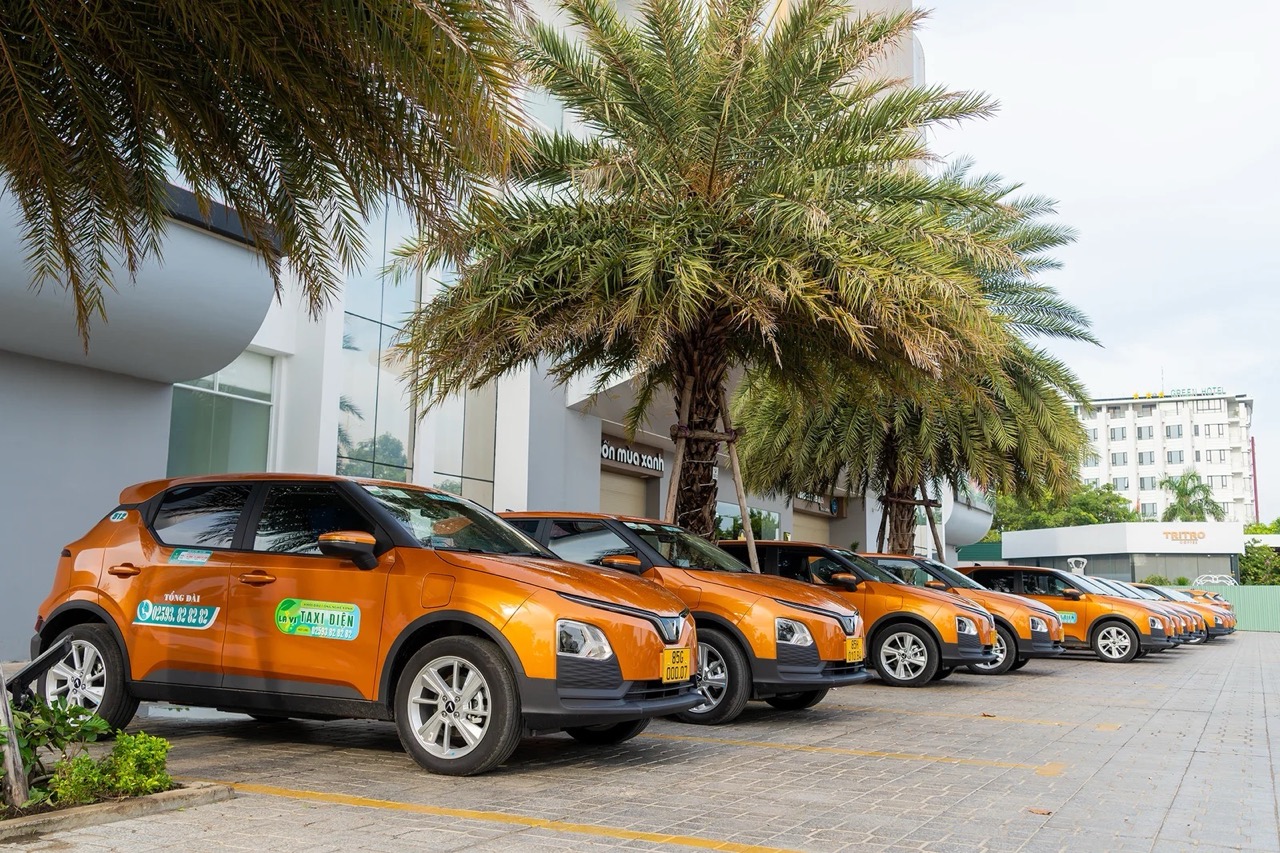 Taxi Lavi Large.jpeg