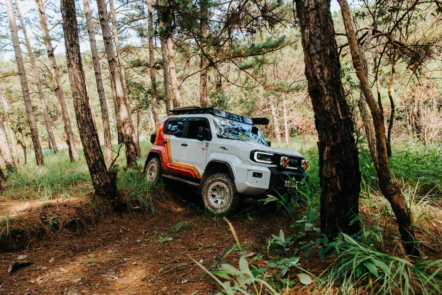 toyota-land-cruiser-fj-anh-_2.jpg
