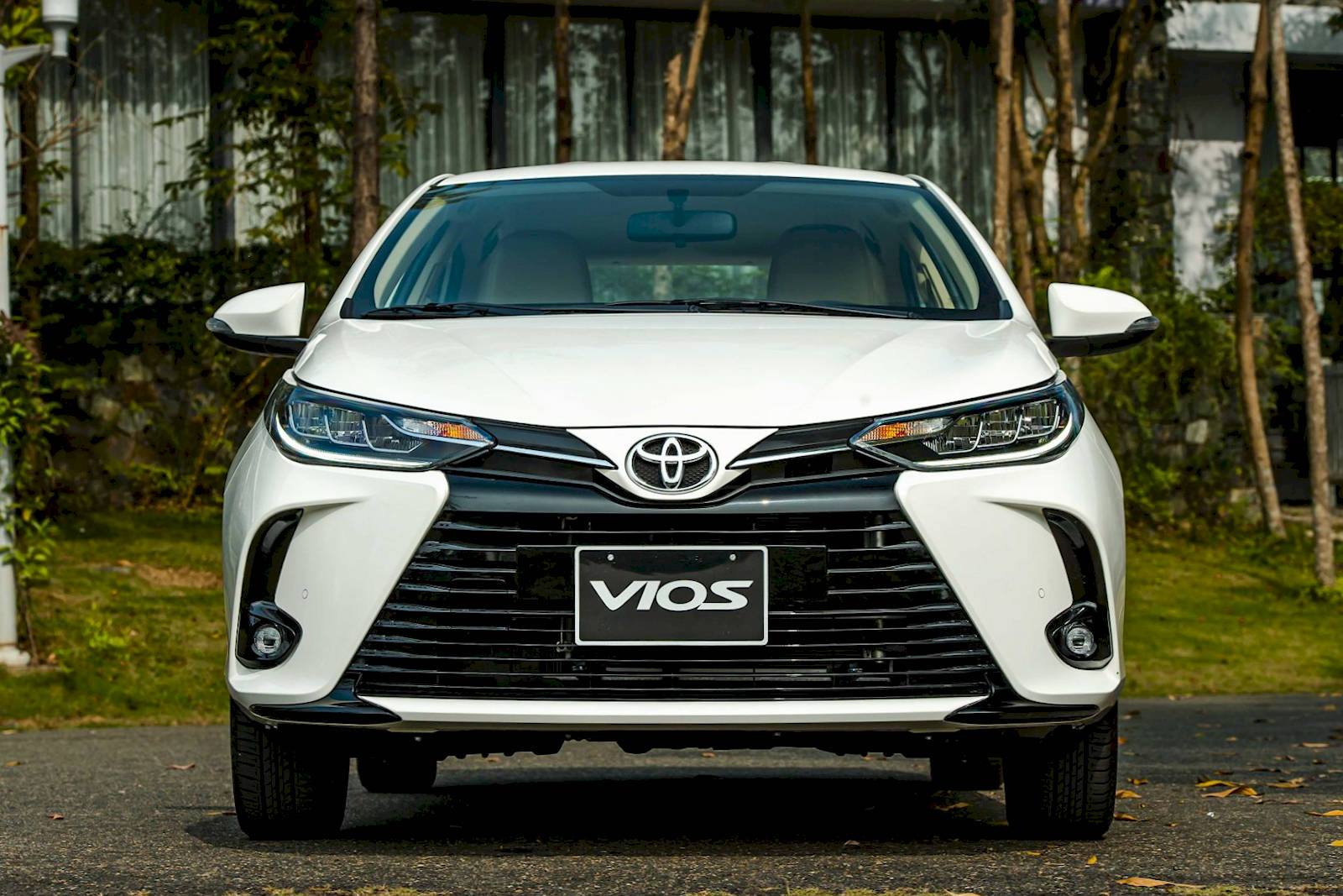 toyota-vios.jpg