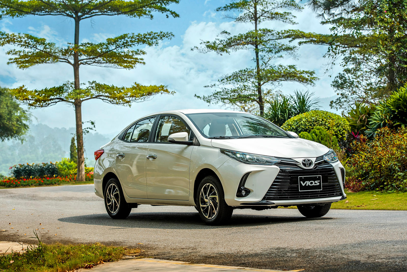 toyota-vios0.jpg